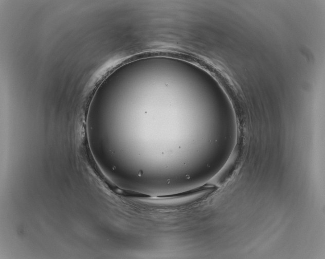 X0000115811363200911131412