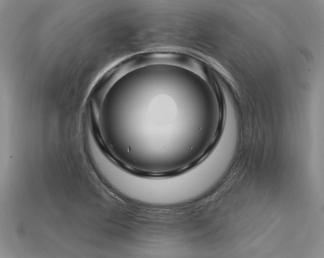 X0000115811364200911131412