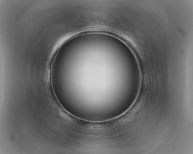 X0000115811366200911131412
