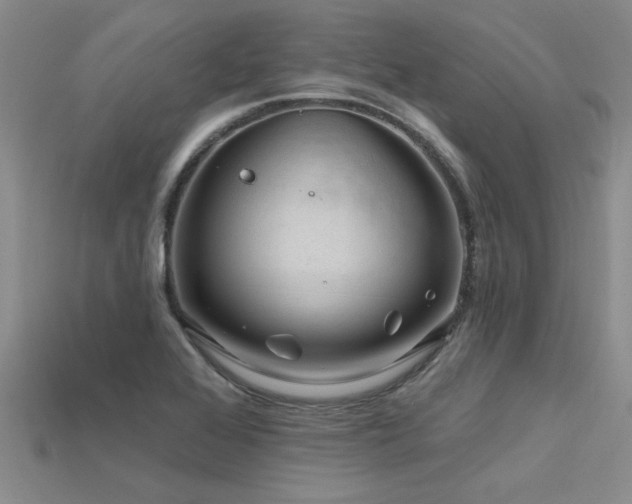X0000115811368200911131412