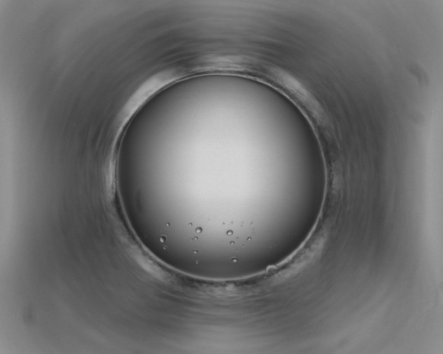 X0000115811370200911131412