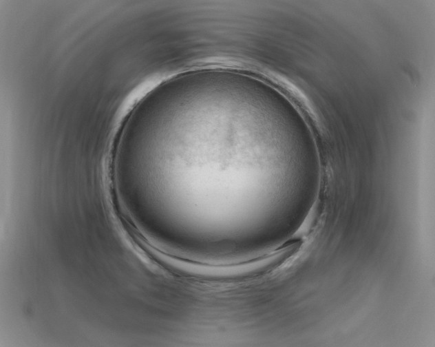 X0000115811373200911131412