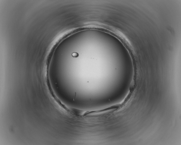 X0000115811376200911131412