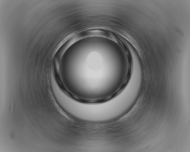 X0000115811377200911131412