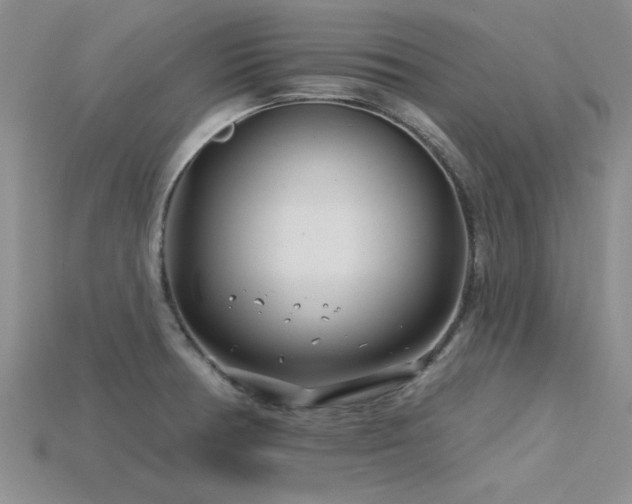 X0000115811378200911131412