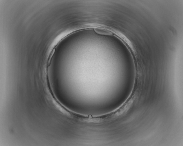 X0000115811381200911131411