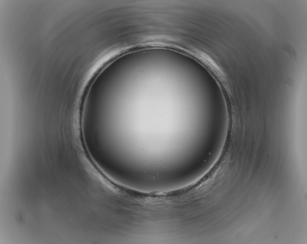 X0000115811384200911131411