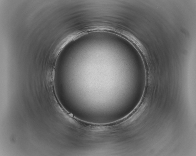 X0000115811385200911131411