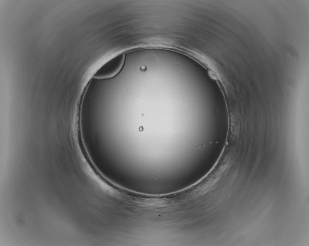 X0000115811387200911131411