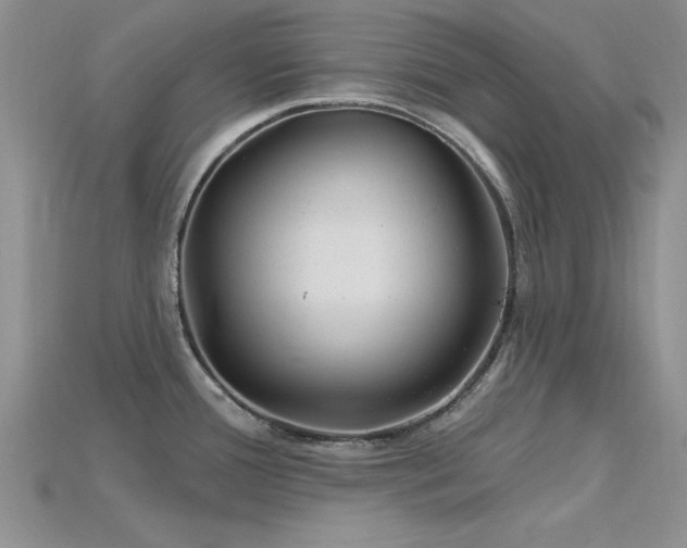 X0000115811388200911131411