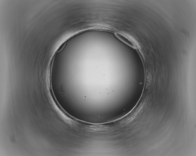 X0000115811391200911131411
