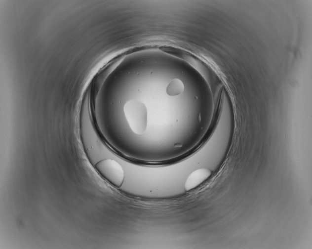 X0000115811392200911131411