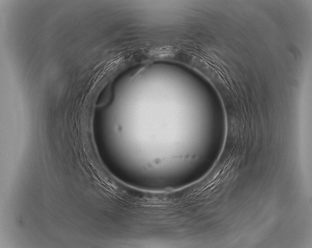 X0000115811393200911131411