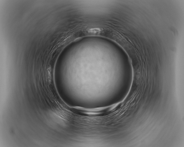 X0000115811394200911131411