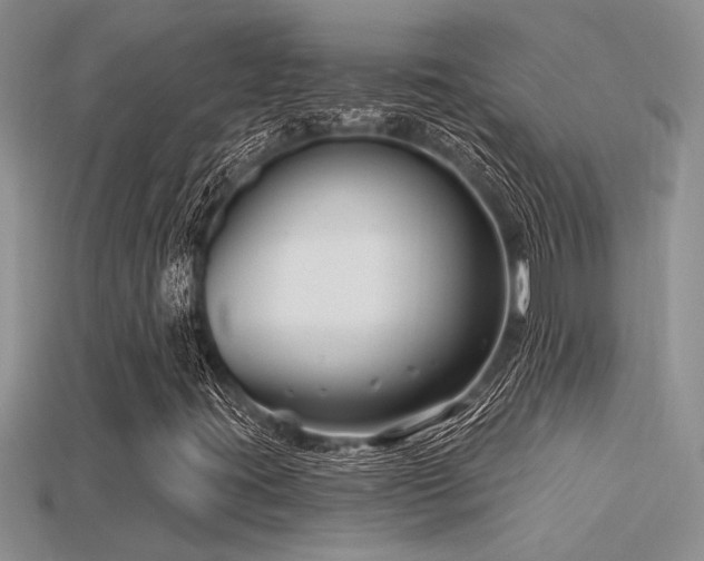 X0000115811395200911131411