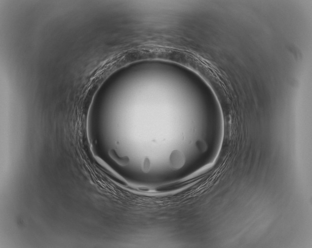 X0000115811397200911131411