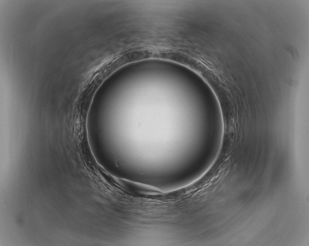 X0000115811398200911131411