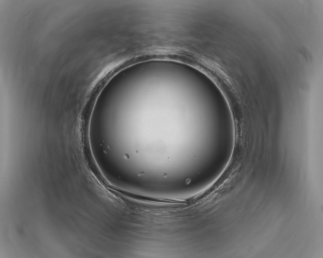X0000115811404200911131411