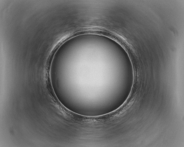 X0000115811405200911131411