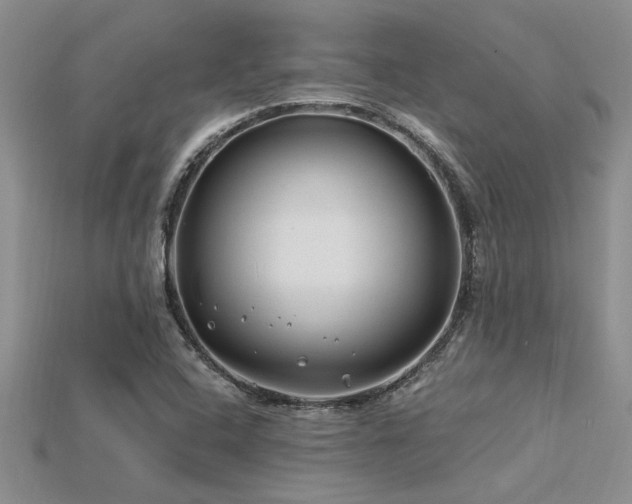 X0000115811408200911131411