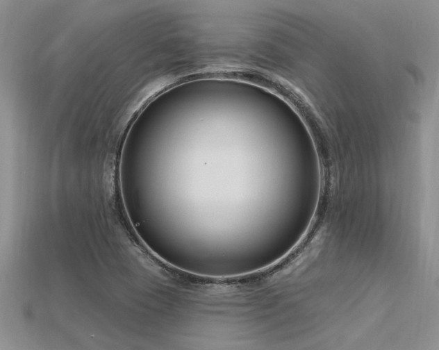 X0000115811409200911131411