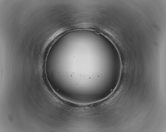 X0000115811410200911131411