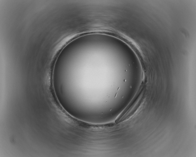 X0000115811415200911131411