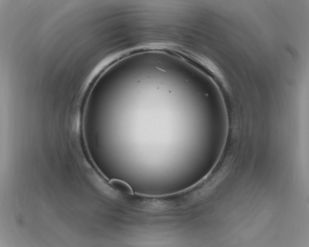 X0000115811420200911131411