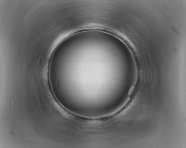 X0000115811421200911131411