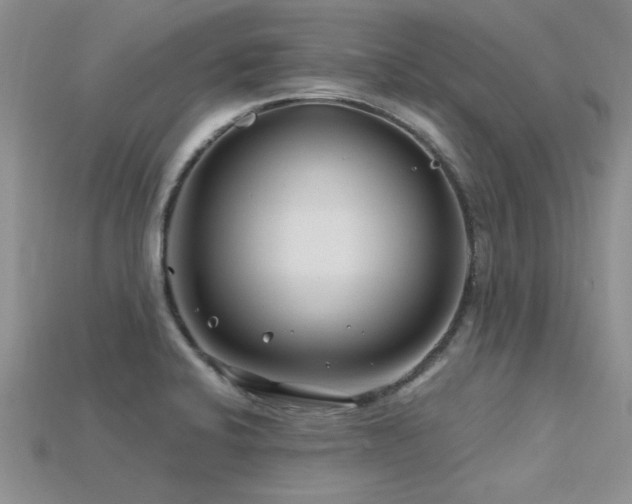 X0000115811424200911131411
