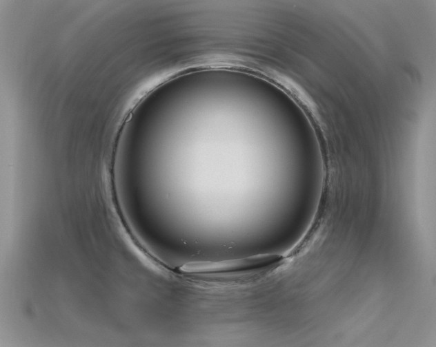 X0000115811429200911131411