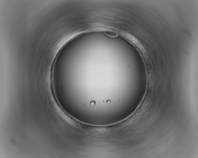 X0000115811431200911131411
