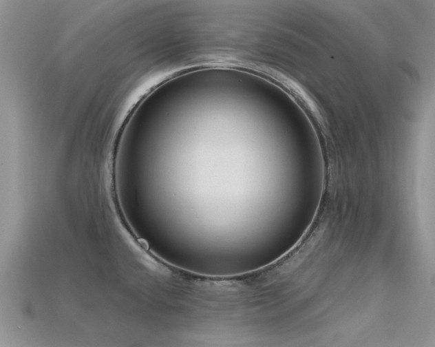X0000115811432200911131411