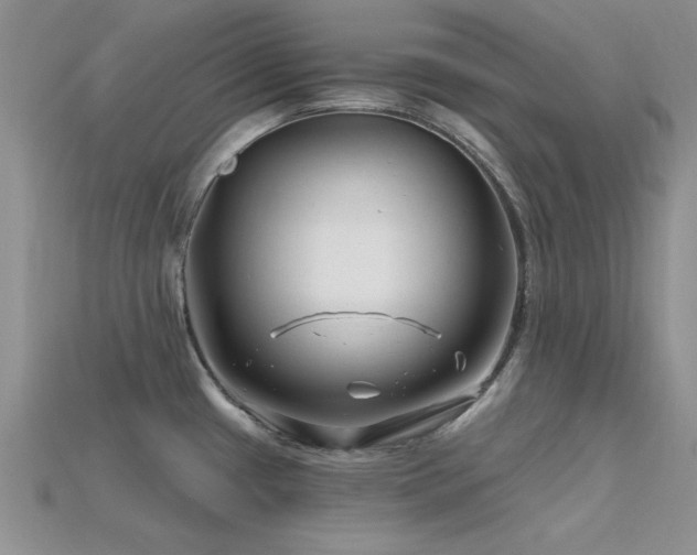 X0000115811433200911131411