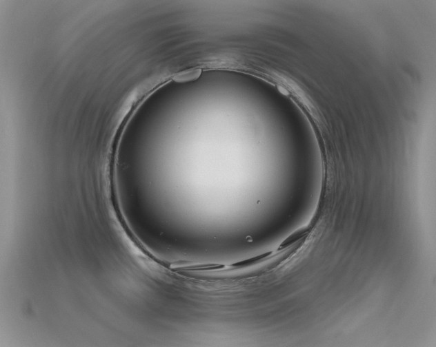 X0000115811434200911131411
