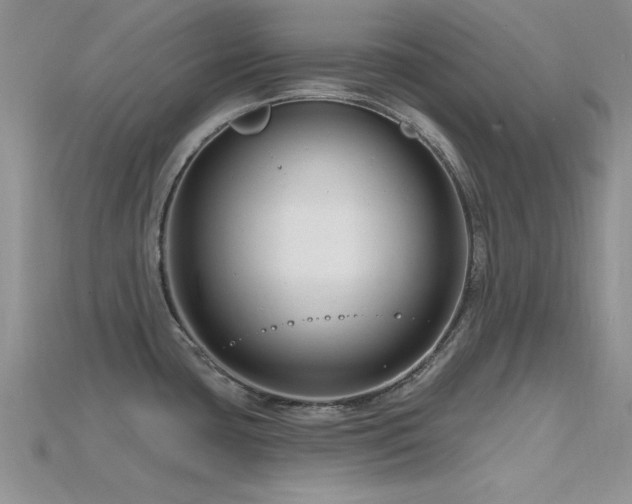 X0000115811435200911131411