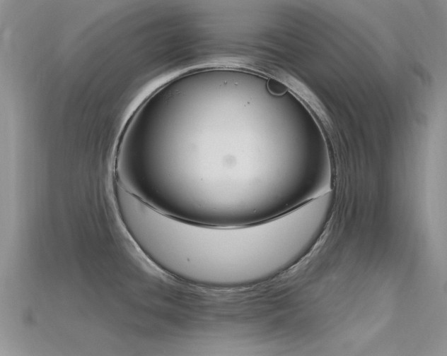 X0000115811436200911131411