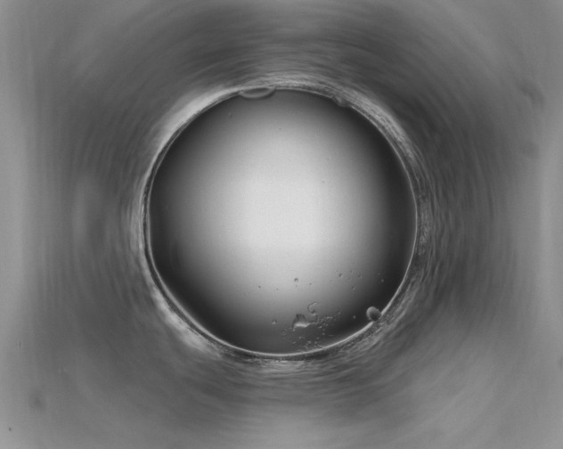 X0000115811439200911131411