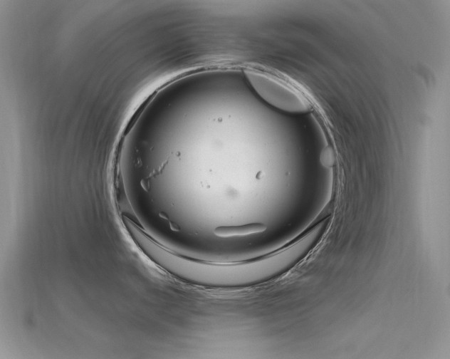 X0000115811440200911131411