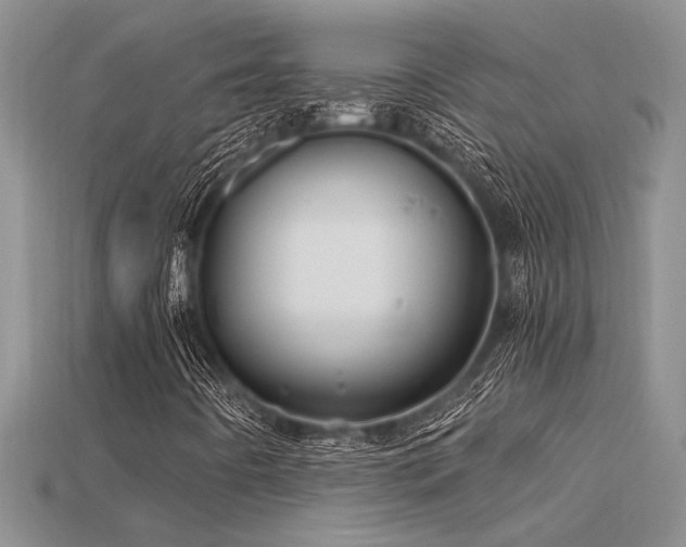 X0000115811442200911131411