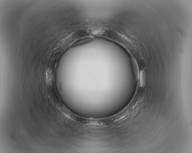 X0000115811443200911131411