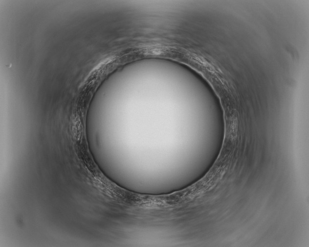 X0000115811446200911131411