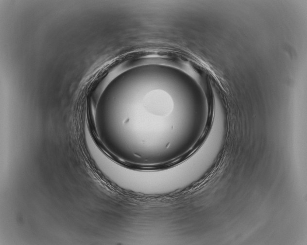 X0000115811448200911131411