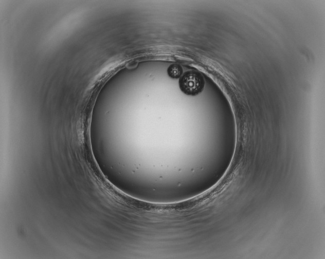 X0000115811451200911131411