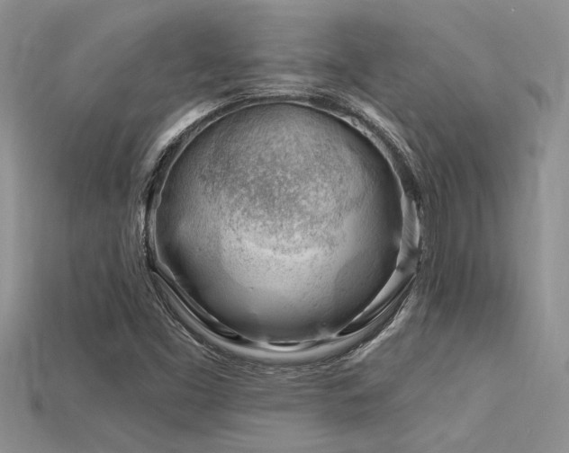 X0000115811453200911131411