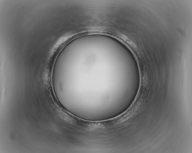 X0000115811454200911131411