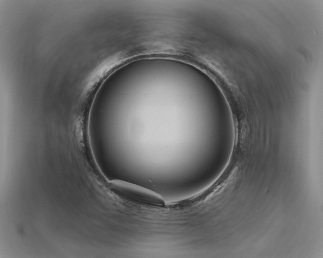 X0000115811455200911131411