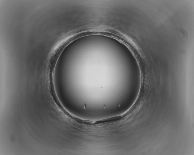 X0000115811456200911131411