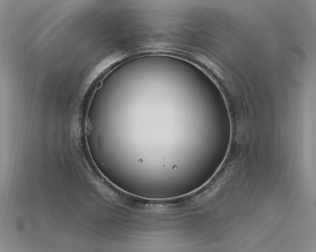 X0000115811458200911131410