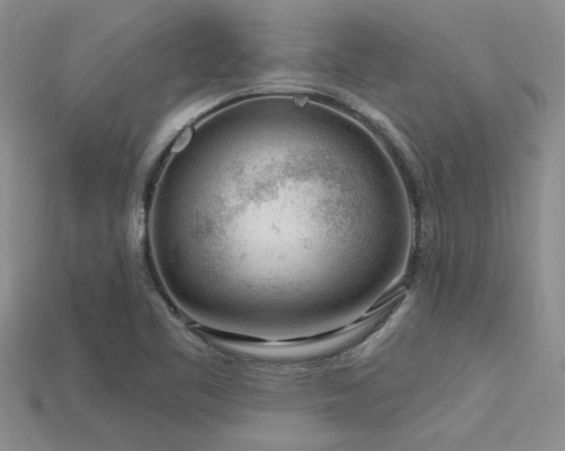 X0000115811461200911131410